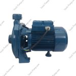 پمپ 1اسب بشقابی ردسان QX100 SS - Image 2