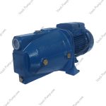 پمپ 1اسب جتی ونیکو IAM100-S - Image 2