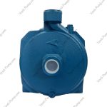 پمپ 1اسب بشقابی ونزو QX100 SS - Image 3